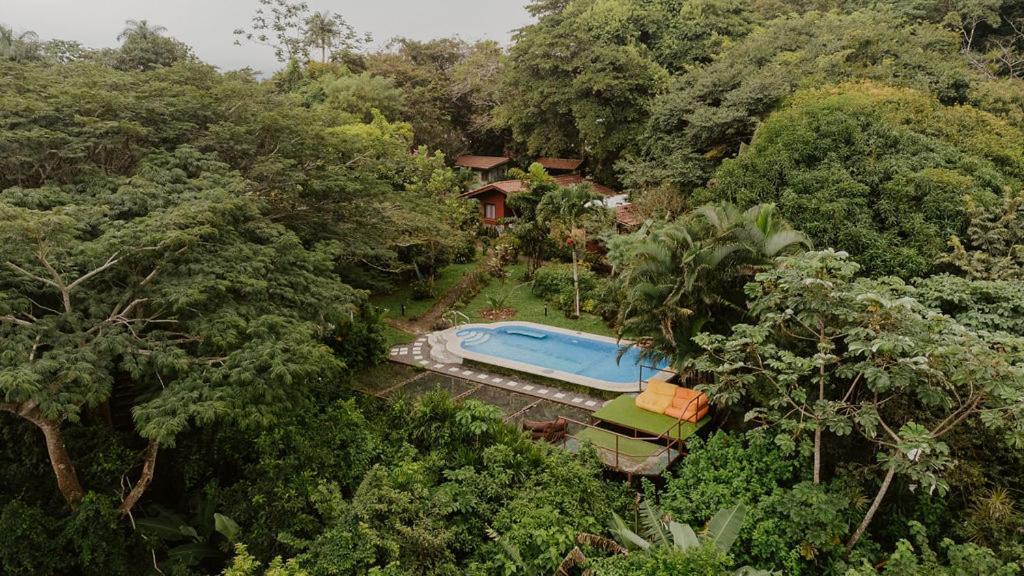 Lodge Mirador - Great Swimming Pool - Kitchen - Bbq - Netflix Tajo Alto Buitenkant foto