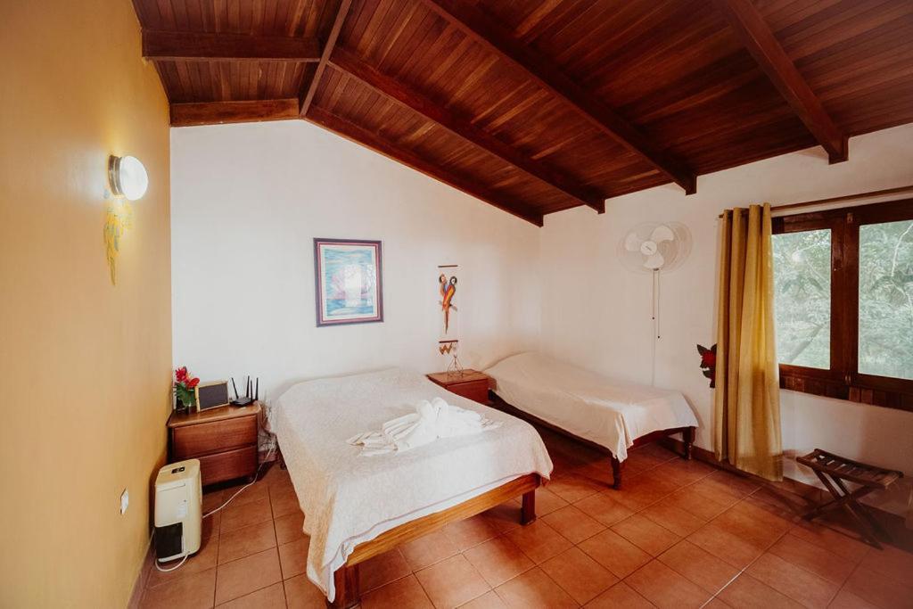 Lodge Mirador - Great Swimming Pool - Kitchen - Bbq - Netflix Tajo Alto Buitenkant foto