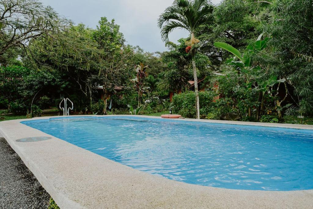 Lodge Mirador - Great Swimming Pool - Kitchen - Bbq - Netflix Tajo Alto Buitenkant foto