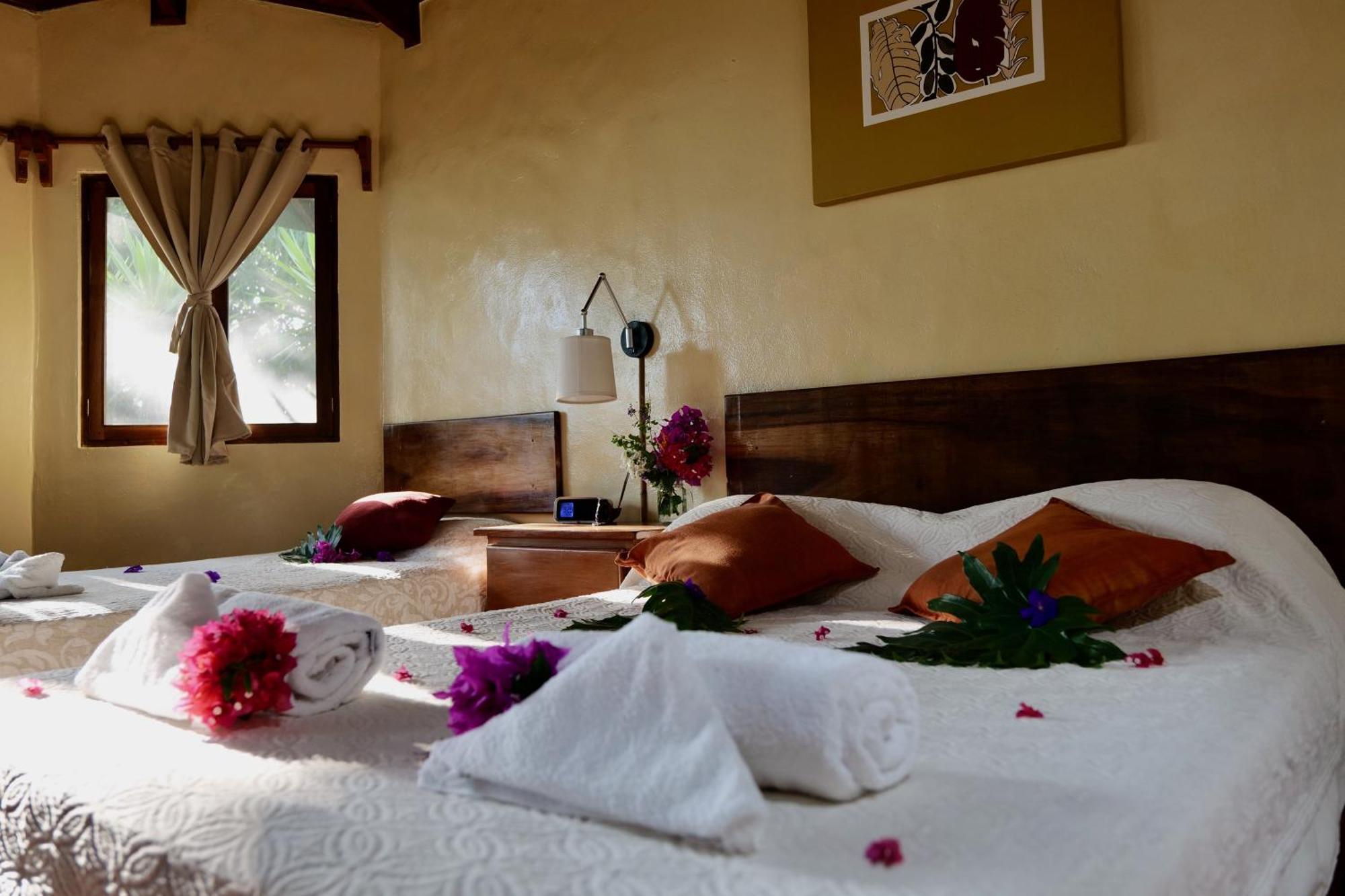 Lodge Mirador - Great Swimming Pool - Kitchen - Bbq - Netflix Tajo Alto Buitenkant foto